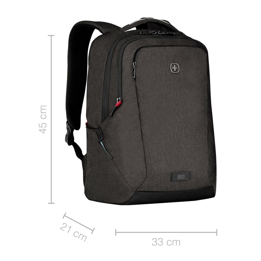 Schwarzer Rucksack mit den Maßen 45 x 33 x 21 cm, 1893
