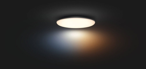 PHILIPS Deckenleuchte Hue White Ambience Cher Dimmschalter 25W 2900lm NEU