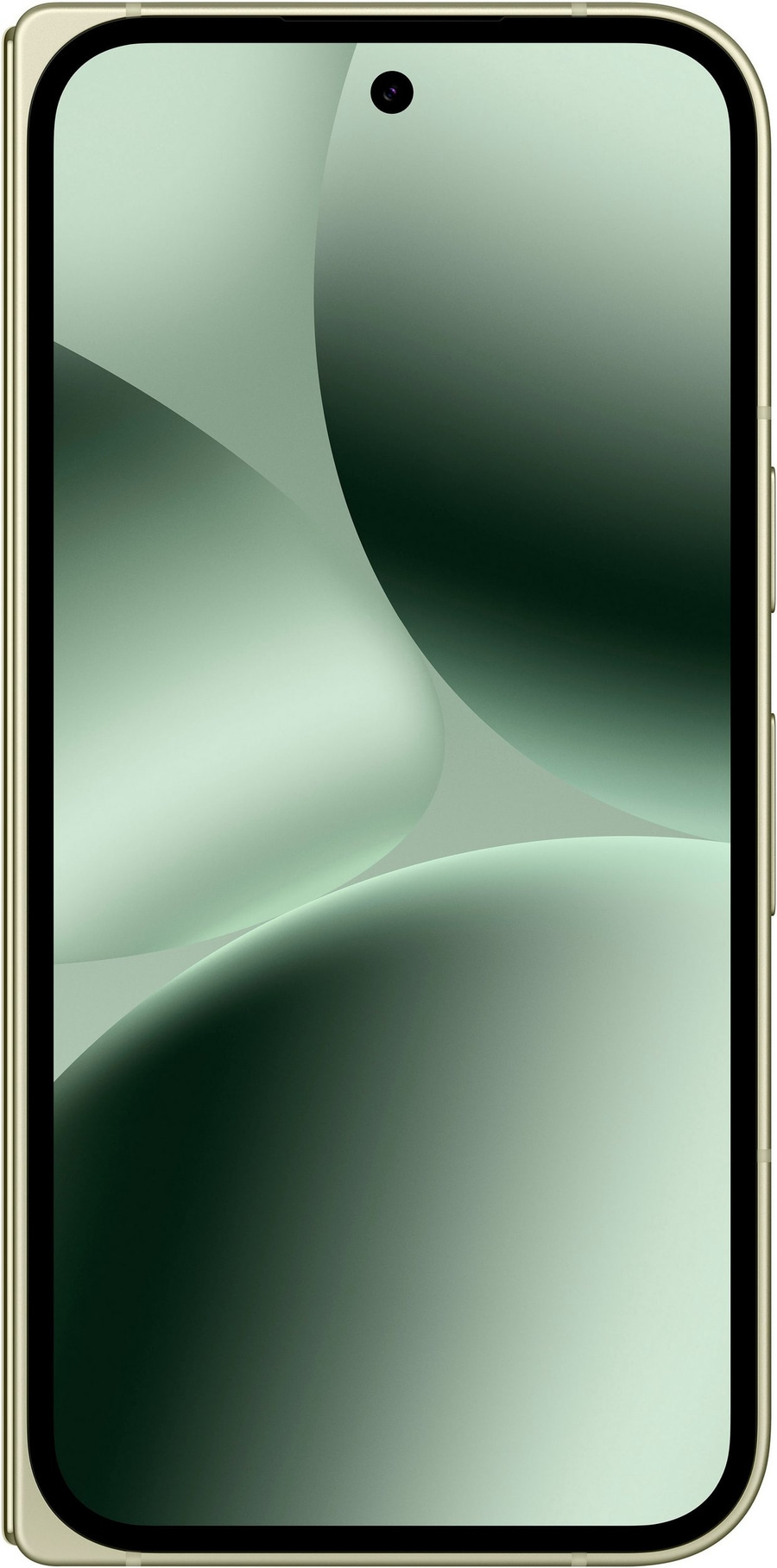 Handy mit grüner Hintergrundgrafik und Kameraaussparung oben