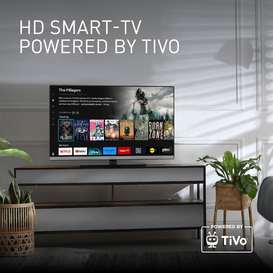 HD Smart-TV mit TiVo, Filme und Apps, Fernseher auf einem Möbelstück, Pflanzen.