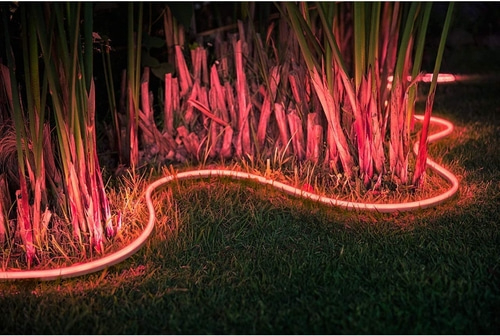 Rotes Lichtband im Garten, umgeben von Pflanzen und Gras, Nachtaufnahme