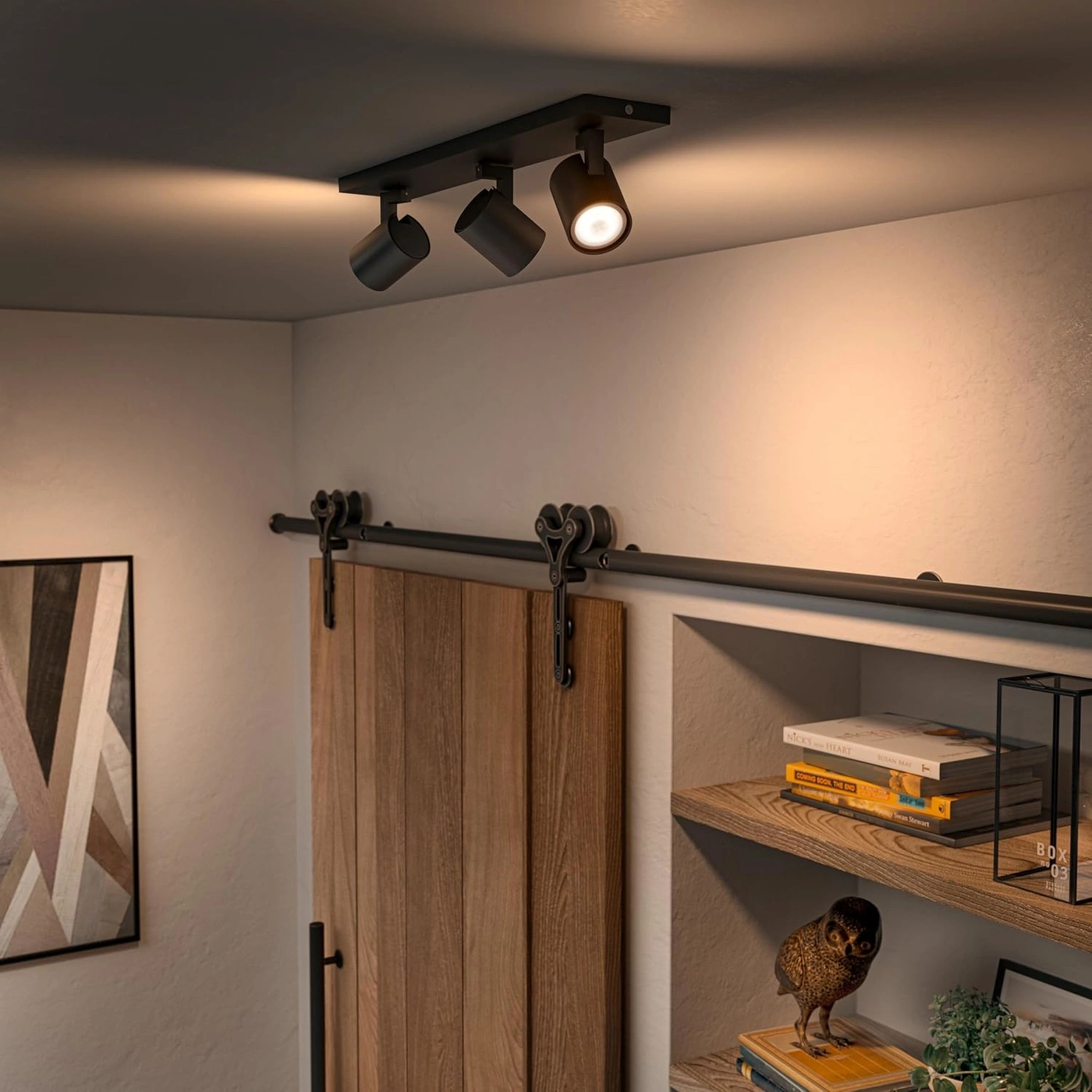 Deckenleuchte mit drei Spots beleuchtet eine Wand und Holztür.
