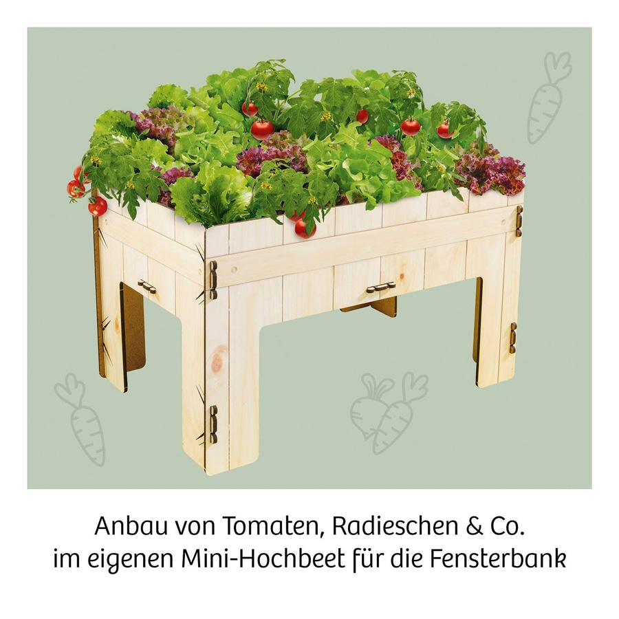 KOSMOS Meine erste Farm 309/63726 Experimentierkasten Mini-Hochbeet NEU