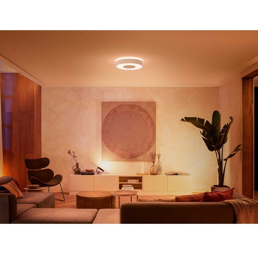 PHILIPS Hue LED Deckenleuchte Lampe White & Color Ambiance Infuse 38,1cm B-WARE