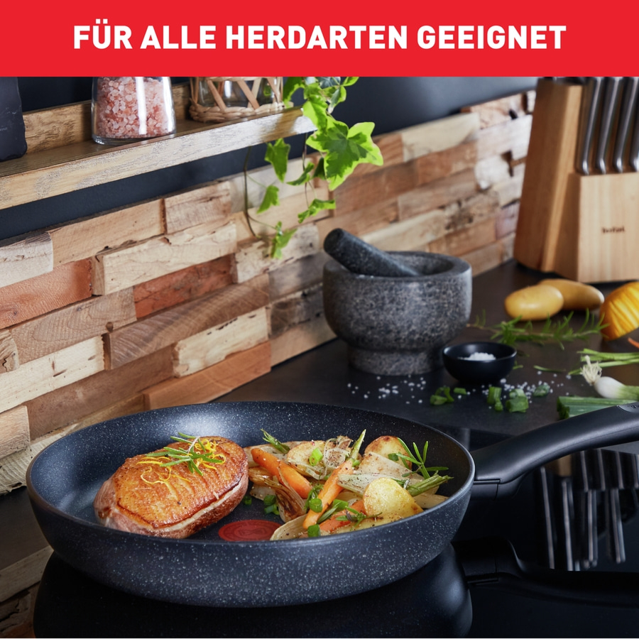 TEFAL Pfanne Ø 20 cm Bratpfanne Universalpfanne alle Herdarten auch Induktion