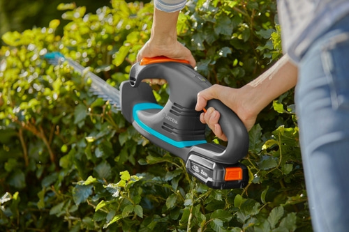 Person schneidet Hecke mit Heckenschere. Gartenarbeit im Freien. Nahaufnahme.