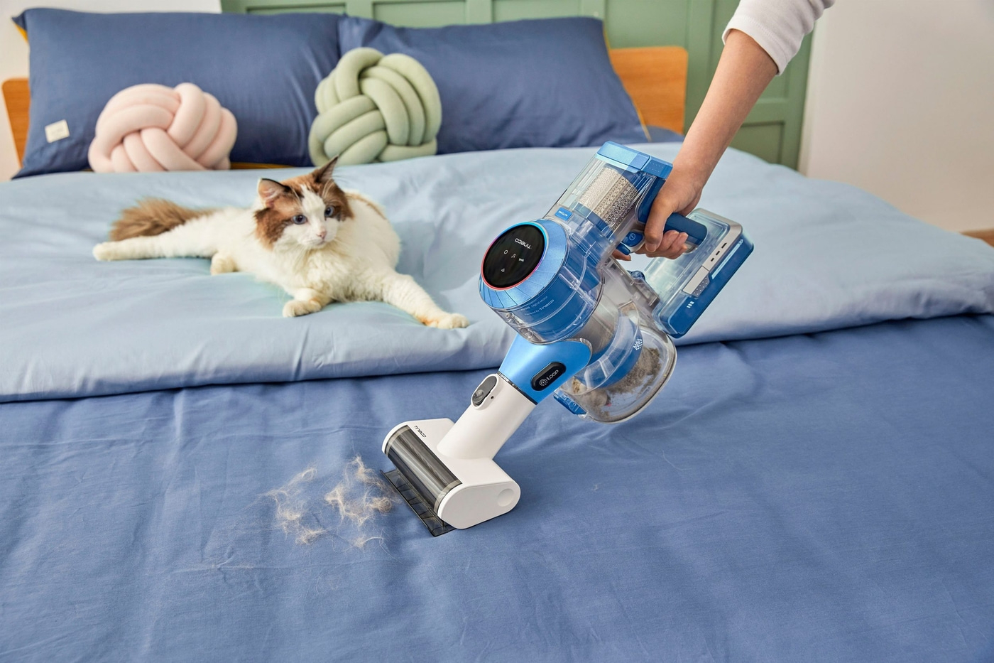 Katze auf Bett, Staubsauger reinigt Bettwäsche, Tierhaare werden entfernt