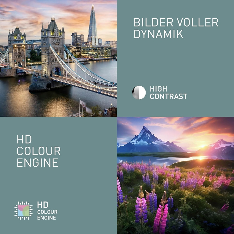 PANASONIC Fernseher 32 Zoll 720p HD LED TV HD Triple Tuner HDMI TS-32N30AEZ