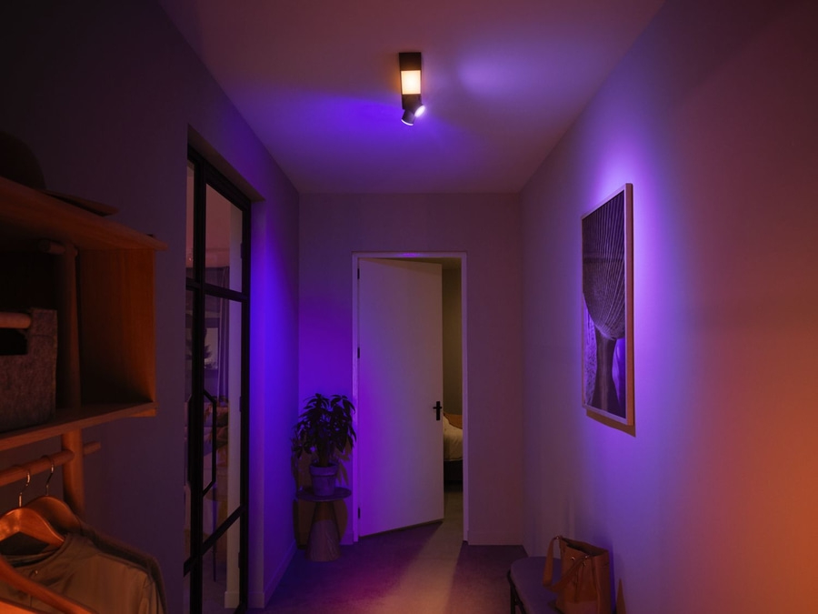 PHILIPS HUE Deckenleuchte White & Color Ambiance Centris 2er Spot schwarz NEU