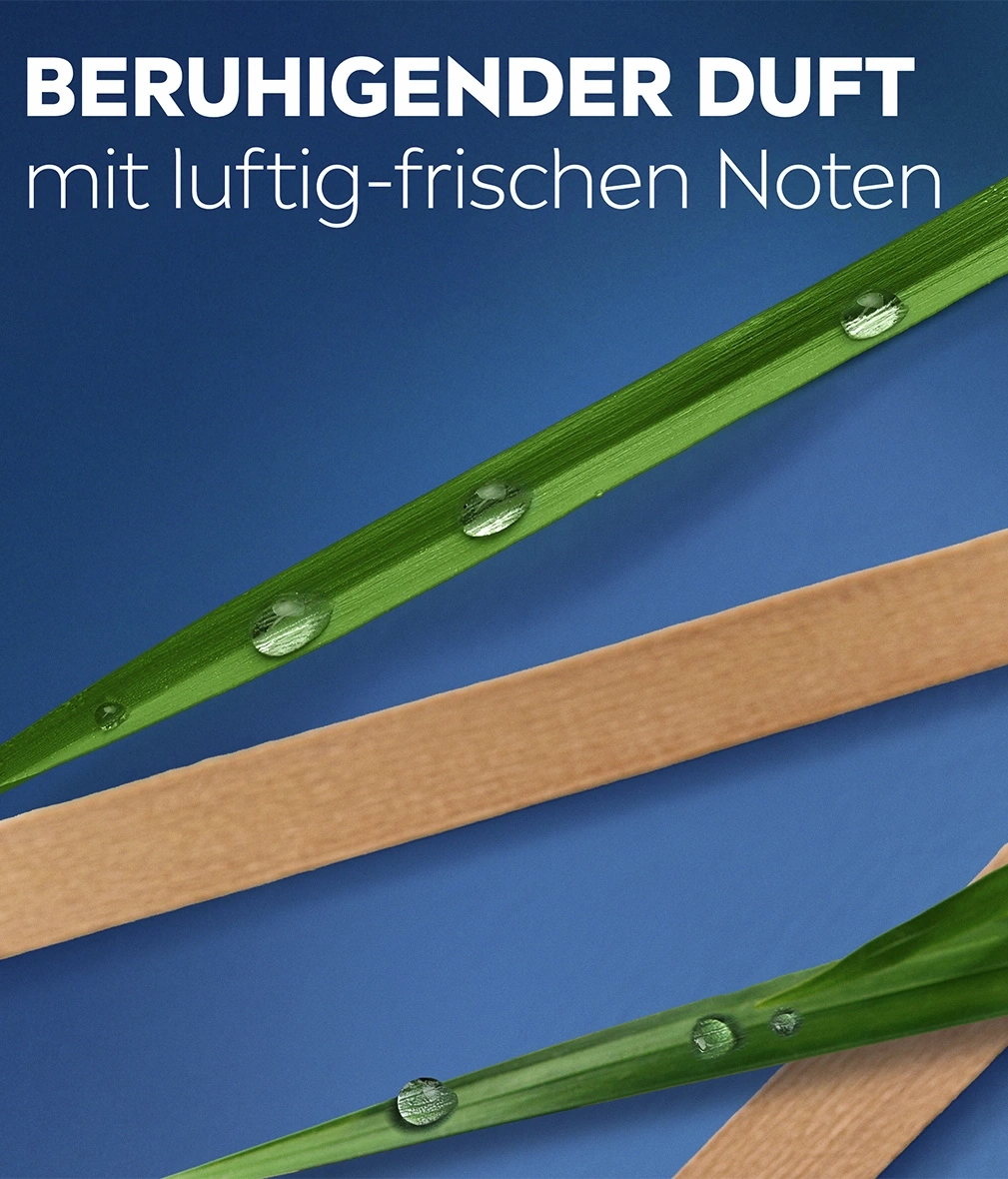 Grashalme mit Tautropfen und Holzstab