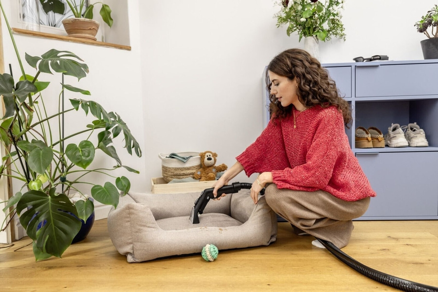 Frau reinigt Hundebett mit Staubsauger, Pflanzen, Teddybär, Schuhe im Hintergrund