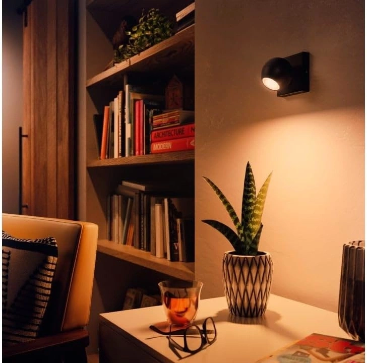 Ein Bücherregal mit Büchern, eine Zimmerpflanze und eine Lampe.
