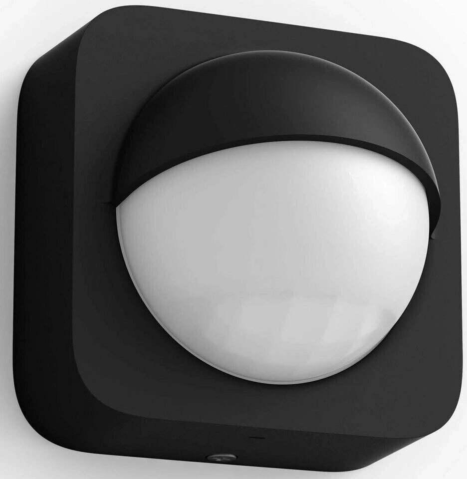 Schwarze Wandleuchte mit kugelförmigem Lichtelement