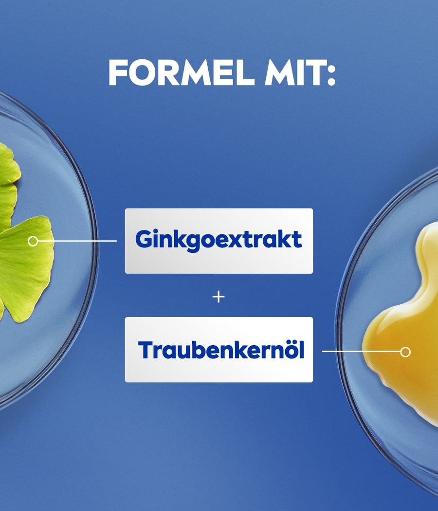 Formel mit: Ginkgoextrakt und Traubenkernöl. Blaue Hintergrund. Zwei Schalen.