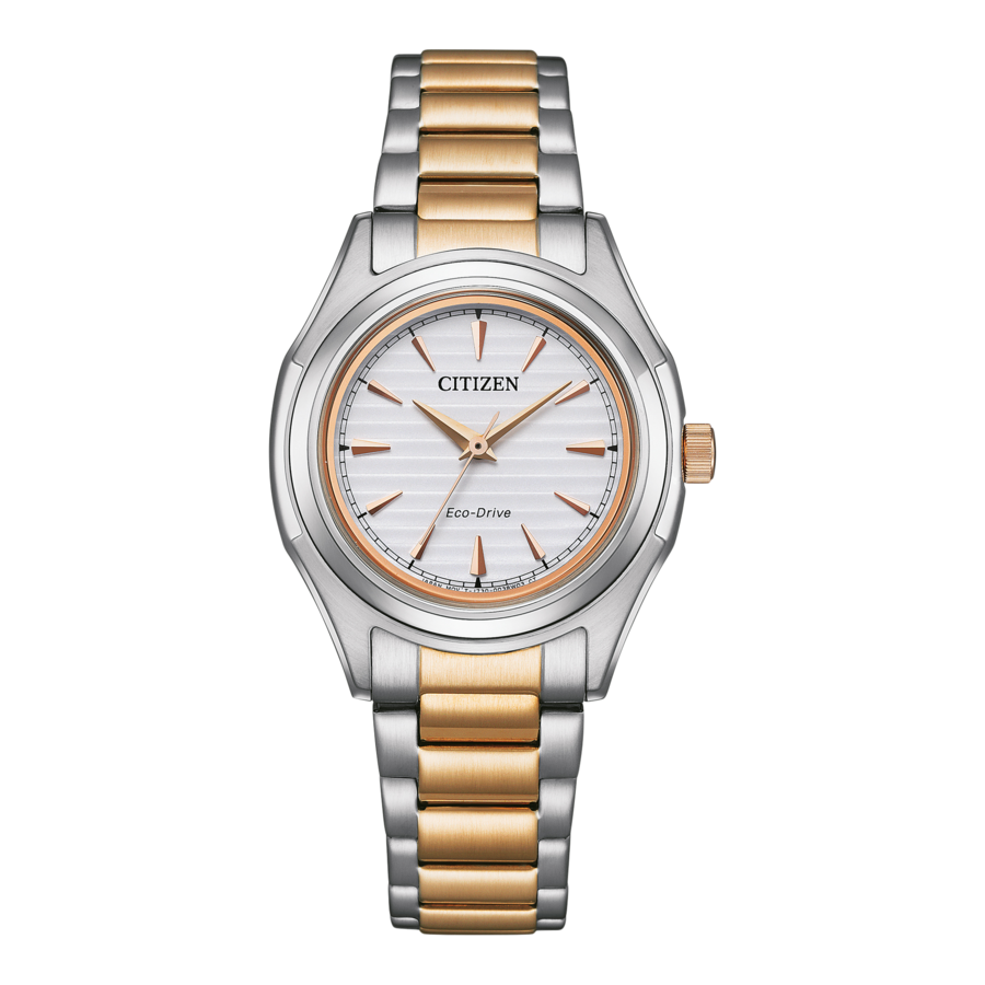 CITIZEN Damen Armbanduhr FE2116-85A Eco-Drive Damenuhr J730 Edelstahl B-Ware