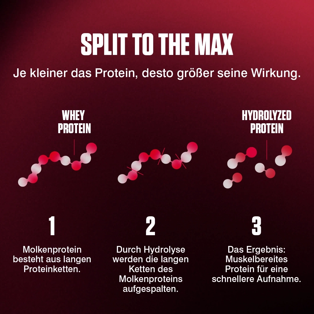 Veranschaulichung von Whey Protein und hydrolysiertem Protein in drei Schritten.