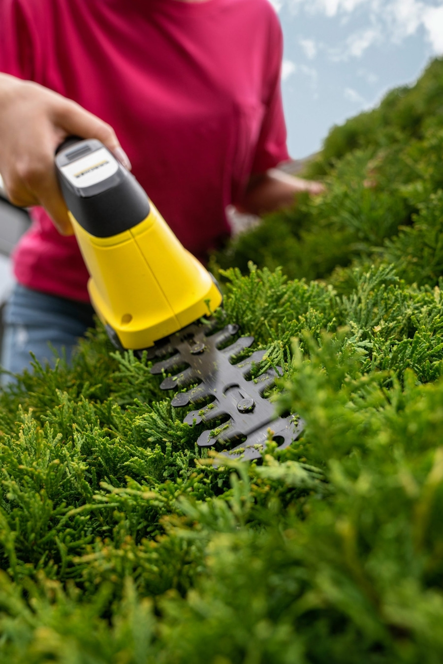 Person schneidet Hecke mit gelbem Werkzeug. Nahaufnahme von grünen Blättern.