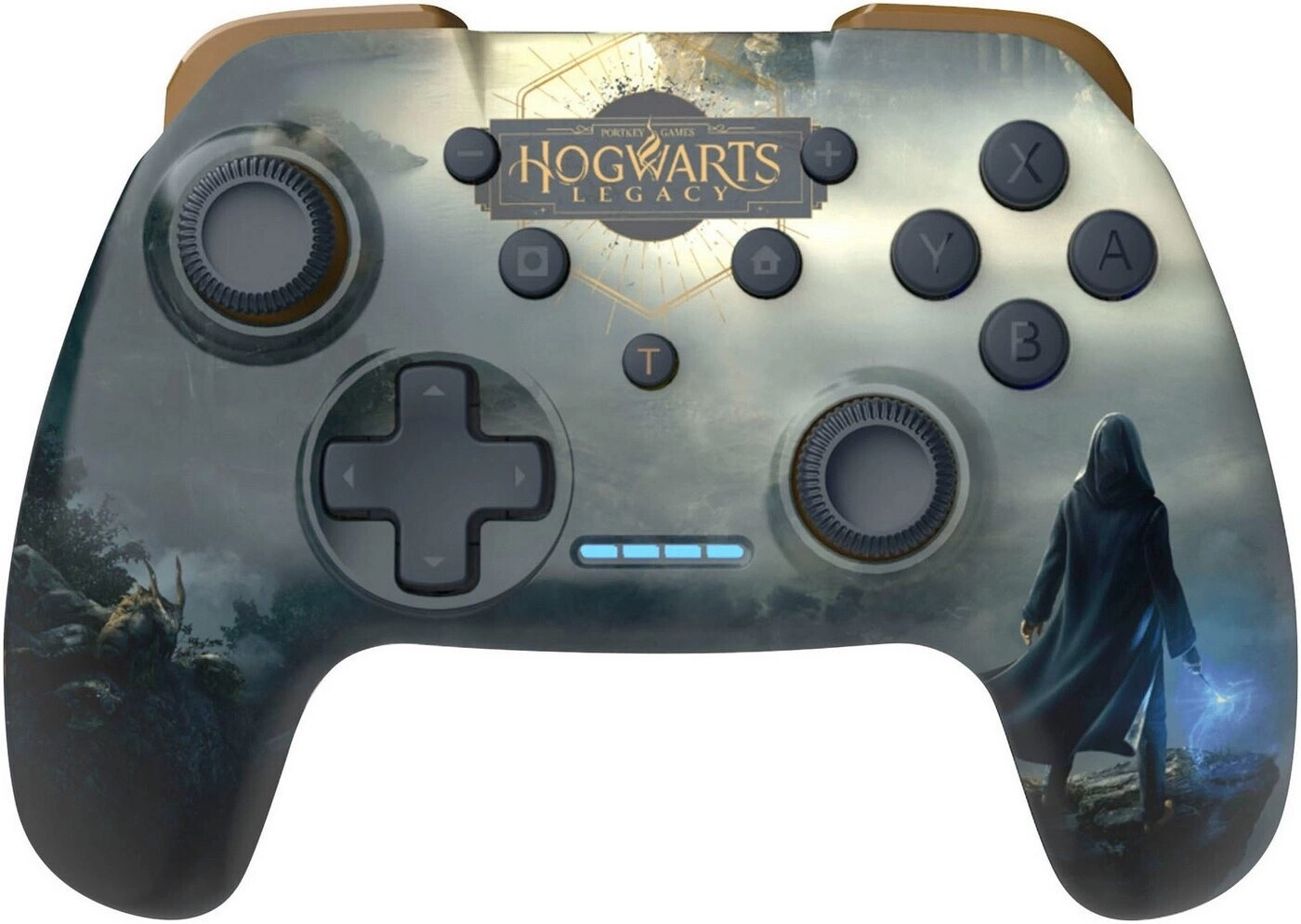 Ein Hogwarts Legacy Controller mit einem Zauberer und einem Tier auf einem Felsen.