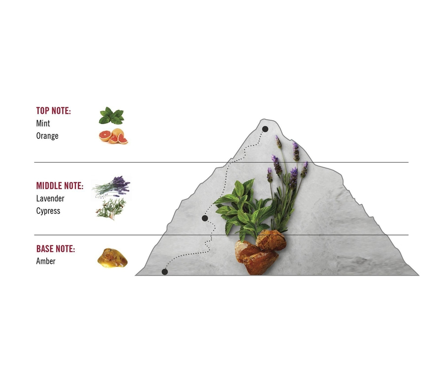 Duftpyramide mit Minze, Orange, Lavendel, Zypresse und Amber. Aromen-Diagramm.