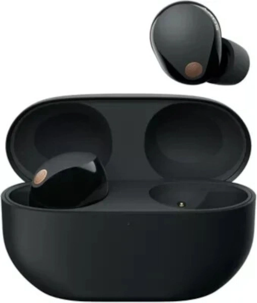 SONY WF-1000XM5 In-Ear-Kopfhörer Noise Cancelling Bluetooth 5.3 USB-C B-WARE