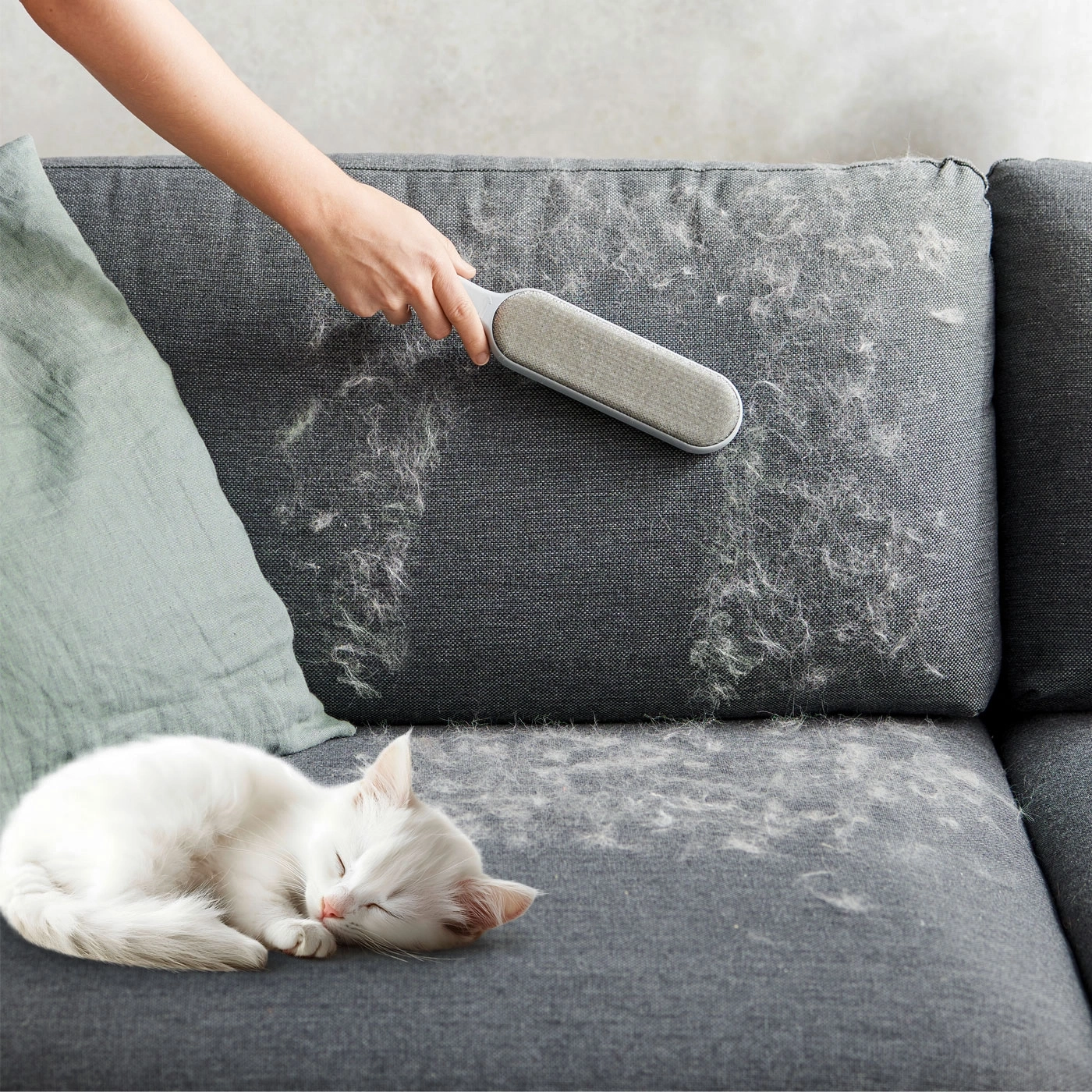 Katze schläft auf Sofa, jemand reinigt es mit Bürste von Tierhaaren