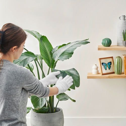 BETTY BOSSI Staubhandschuhe, Mikrofaser - 1 Paar