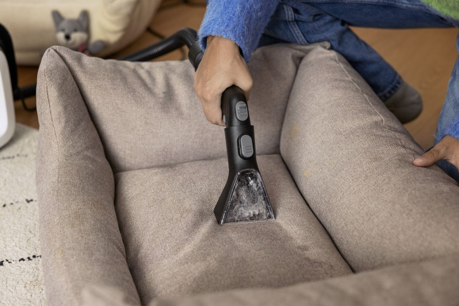 Person reinigt Hundebett mit Staubsauger, Flecken auf dem Stoff