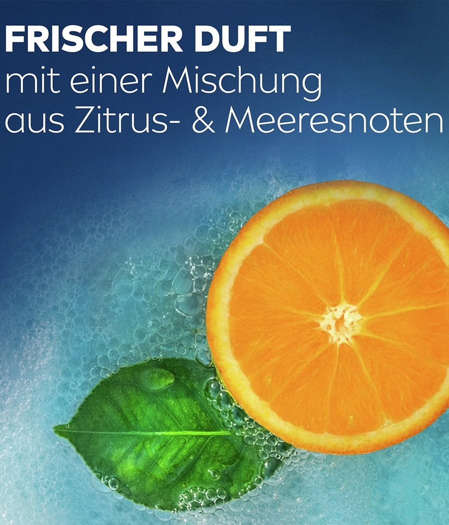 Frischer Duft aus Zitrus- und Meeresnoten mit Orange und Blatt