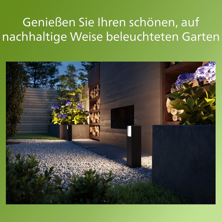 Beleuchteter Garten mit Pflanzen und Steinen, nachhaltig beleuchtet
